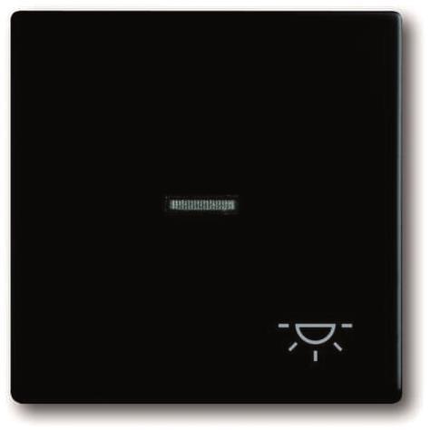 BJ Wippe f. Kontrollschalter 1789 LI-885 Symbol Licht