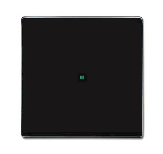 BJ Wippe 1-fach 6230-10-81 Busch-free@home anthrazit