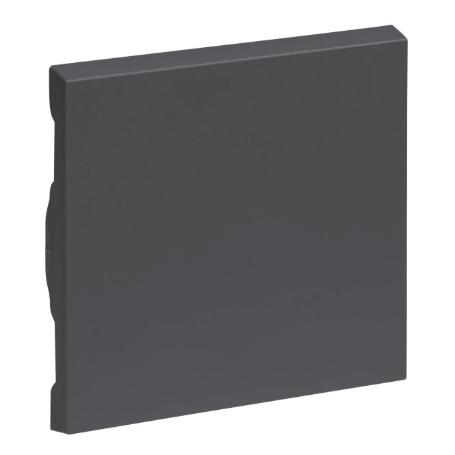 Legrand 765406 SEANO Wippe W/m in der Farbausführung Anthrazit lackiert