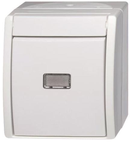 BJ APWG ocean Taster mit 2621WGL-54 Beleuchtung Schliesser alpinweiss