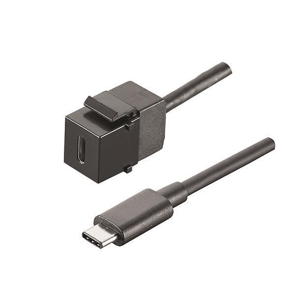 Bachmann USB Keystone Typ C 3.1 917.121 sw