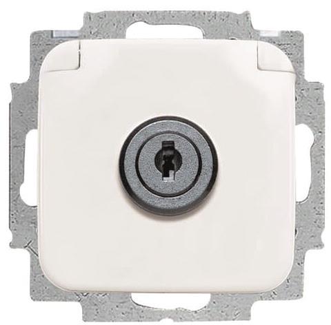 BJ Reflex SI Schuko Kombi 20EUKSL-214 mit Klappdeckel abschliessbar alpinwe