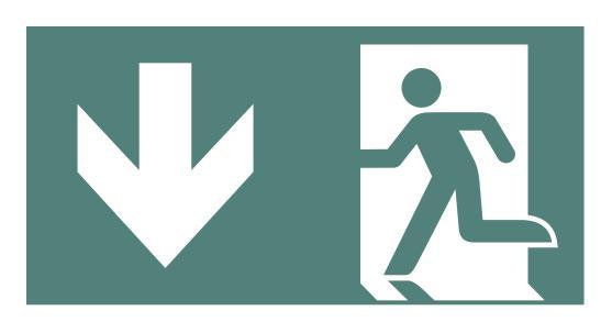 CEAG Piktogrammscheibe PU 40071354132 einseitig Pfeil unten für Style