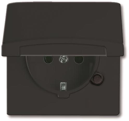 BJ UPWG Allwetter Schuko 20 EUGK-35-101 mit Klappdeckel anthrazit