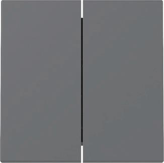 GIRA 329528 Wippe 2fach System 55 Anthrazit
