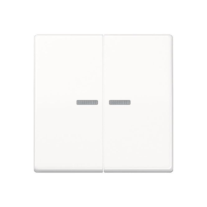 Jung JUNG HOME Taster 2fach BTA17102WW