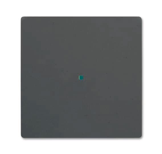 BJ Wippe 1f schwarz matt 6230-10-885 Busch-free@home future linear