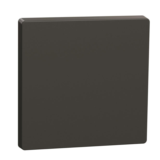 Merten Wippe Anthrazit MEG3300-6034