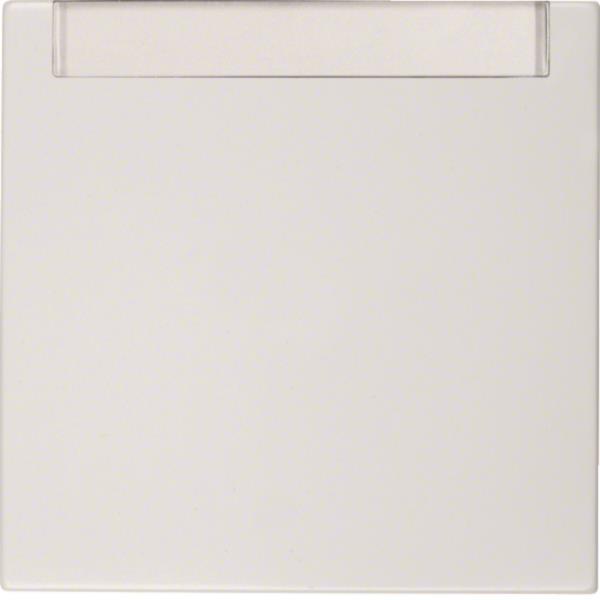 BER S1 Wippe Wechsel mit 16268989 Schriftfeld polarweiss glänzend