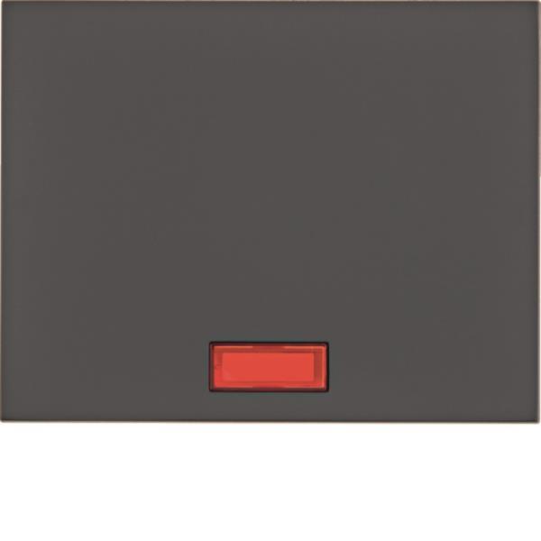 BER K1 Wippe Aus/ Wechsel 14157006 Kreuz Taster anthrazit matt