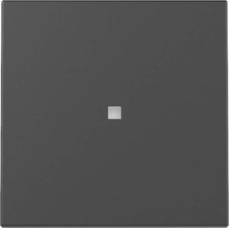 GIRA 3290005 Wippe Kontrollfenster System 55 Schwarz matt (lackiert)