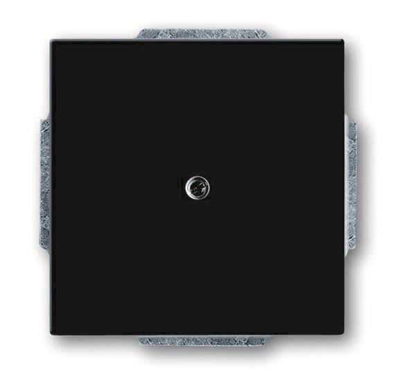 BJ carat Blindabdeckung 1742-81 anthrazit