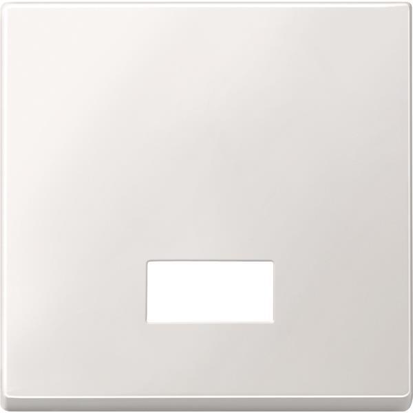 Merten Wippe m.Fenster rechteckig 433819 polarweiß System M