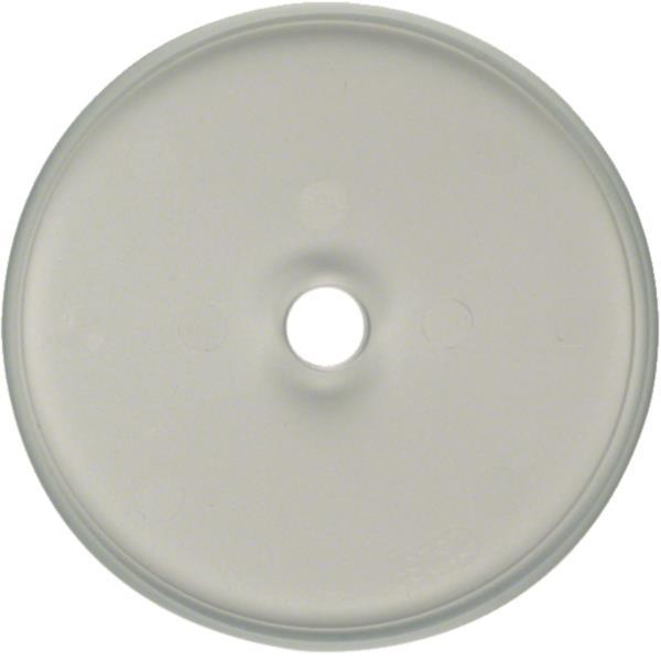 BER Glas Glasabdeckplatte für 1090 Drehschalter/-taster klar