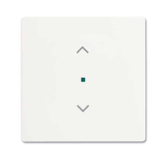 BJ Wippe 1f Jalousie matt 6232-10-884 sws Busch-free@home future linear