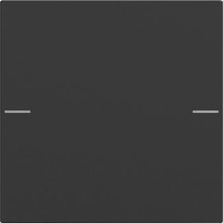 GIRA 5751005 Wippenset 1fach Tastsensor4 System 55 Schwarz matt (lackiert)
