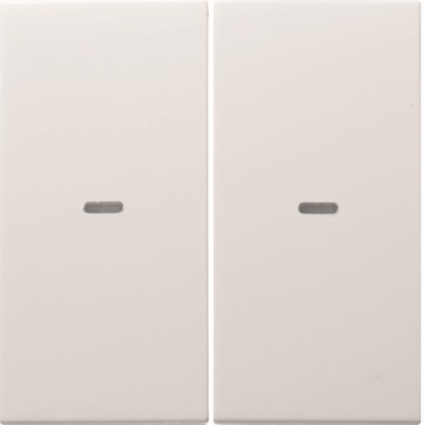 Berker Wippe 2fach mit klarer 80960389 Linse S.1/B.3/B.7 polarws glänzend