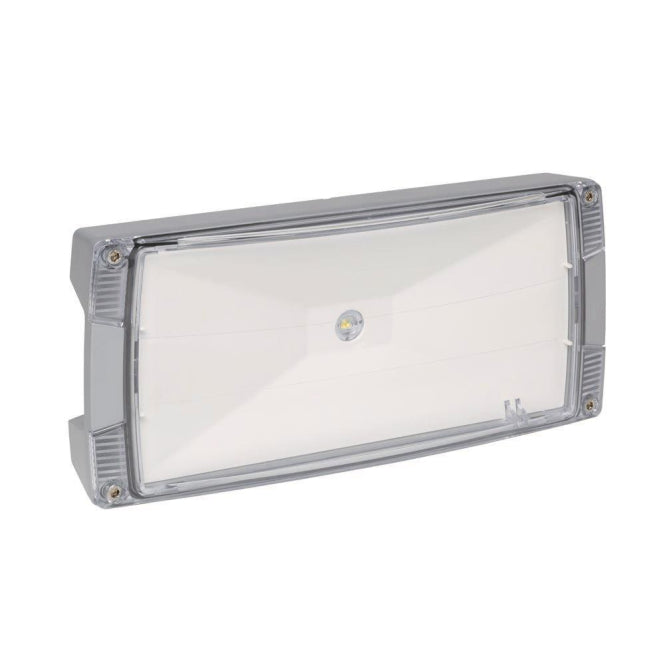 CEAG Atlantic LED II O CG-S Zentralb. IP66 Aufbau Alu grau 260lm symmetrisch