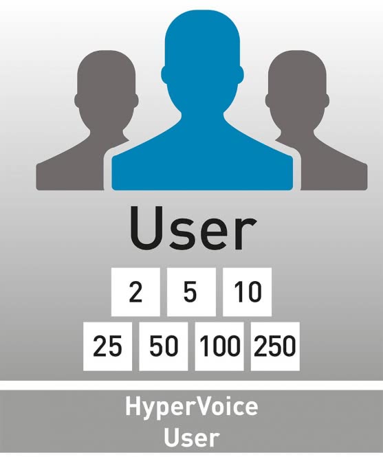 AGFEO HyperVoice Lizenz für 250 User                                     7997550