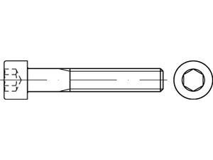 Reyher Zylinderschrauben M6x16mm         DIN 912 8.8, galv. verzinkt, 100 Stück