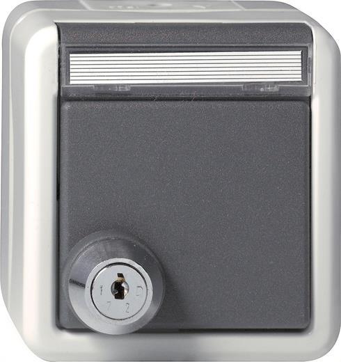 GIRA 456730 SCHUKO-Steckdose Klappdeckel Schloss sortiert+BSF WG AP IP44 Grau