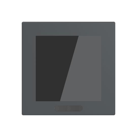 BJ Display 2,4" Format  SD/U12.63.11-825 63-solo/future