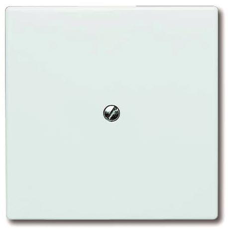BJ UPWG Allwetter Blindabdeckung 2138-32   weiss