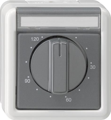 GIRA 032130 Zeitschalter 2-polig 120min. BSF WG AP IP44 Grau