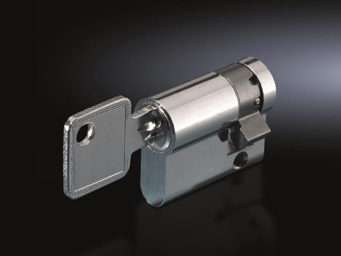 Rittal Profilhalbzylinder     CS 9785042 VE=2 gleichschliessend