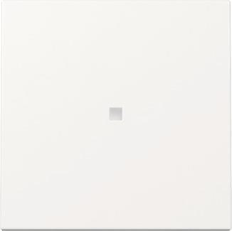 GIRA 329003 Wippe Kontrollfenster        System 55 Reinweiß glänzend