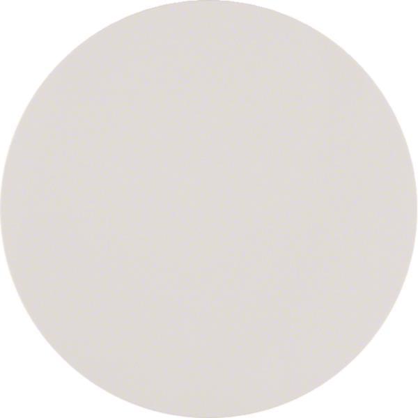 Berker Taste 1fach R.1/R.3      85141139 polarweiß, glänzend