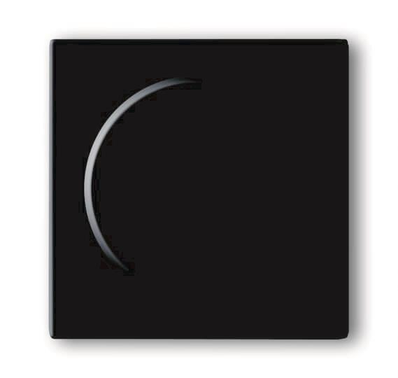 BJ Solo Abdeckung Drehdimmer 6540-81-102   Carat  Solo anthrazit