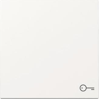GIRA 328703 Wippe Symbol Tür System 55   Reinweiß glänzend