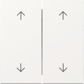 GIRA 329703 Wippe 2fach Pfeile           System 55 Reinweiß glänzend