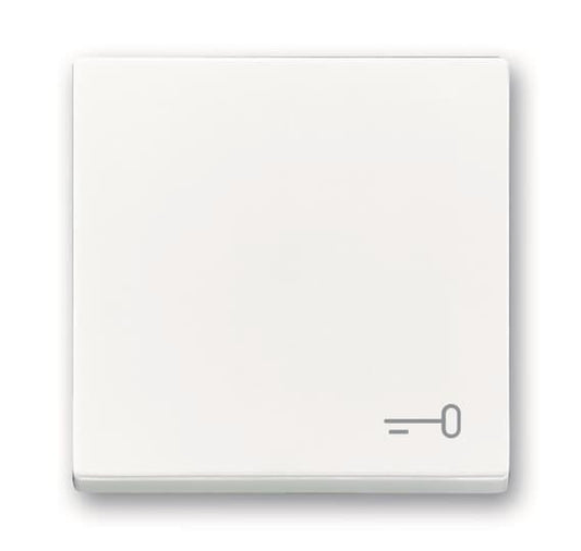 BJ Wippe Schlüssel            2520 TR-84