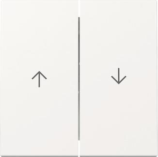 GIRA 329403 Wippe 2fach Pfeil System 55  Reinweiß glänzend