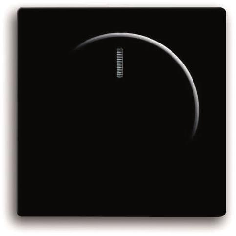BJ Zentralscheibe f.        6540-885-102   Drehdimmer  schwarz matt