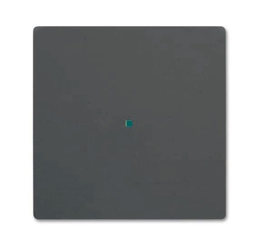 BJ Wippe 1f schwarz matt     6230-10-885 Busch-free@home future linear