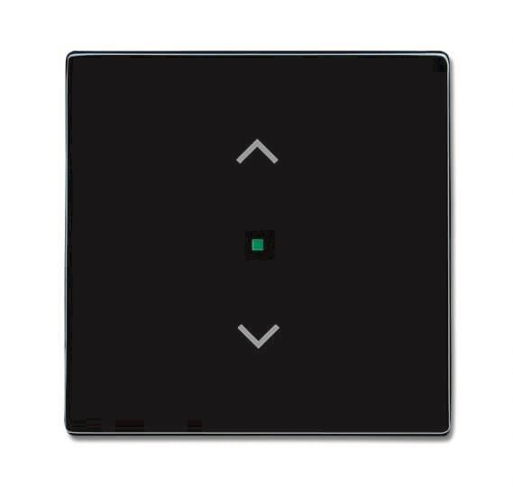 BJ Wippe 1-fach,Symbol        6232-10-81   Jalousie Busch-free@home anthrazit