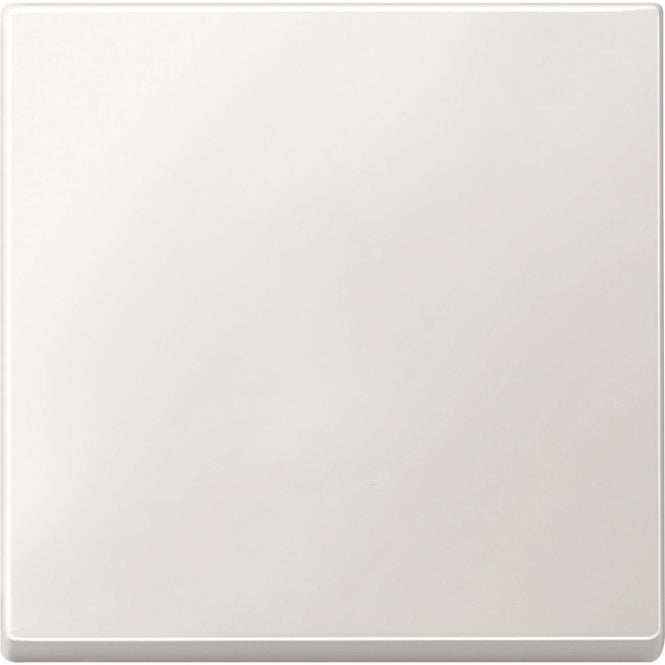 Merten Wippe polarweiß            433119 System M