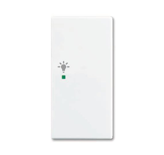 BJ Wippe/R 2-fach Licht      6231-22-914   alpinweiß Busch-free@home Balance SI