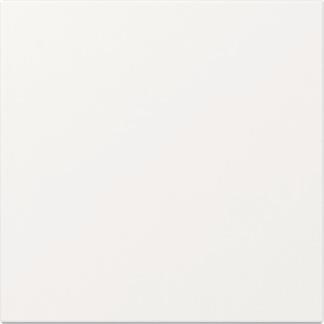 GIRA 349603 Wippe gerade System 55       Reinweiß glänzend
