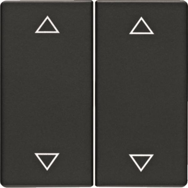 Berker Wippen m. Aufdruck       16446086 Symbol Pfeile Q.1/Q.3 anthrazit, samt