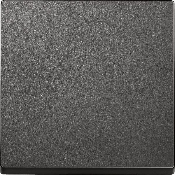 Merten Wippe anthrazit            433114 System M