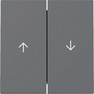 GIRA 329428 Wippe 2fach Pfeil System 55  Anthrazit