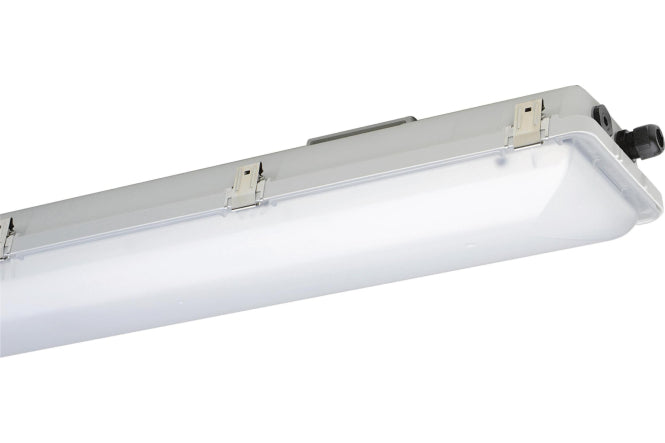 SCHUCH Ex-Wannenleuchte IP66 e865F 12L42 Zone 1/21/2/22 28W 4360lm 65K 1250mm sat