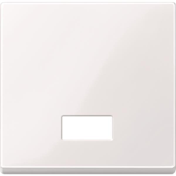 Merten Wippe m.Fenster rechteckig 432825 aktivweiß glänzend System M