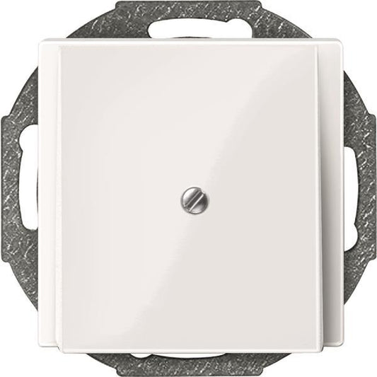 Merten Zentralplatte Leitungs-    296319 auslass polarweiß glänzend System M