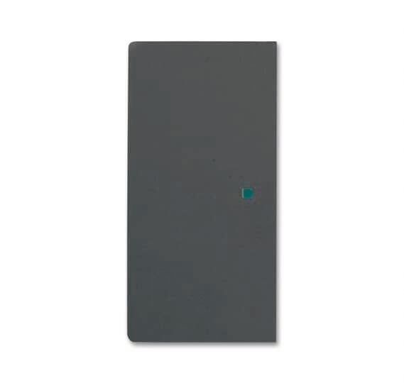 BJ Wippe 2f schwarz matt     6230-20-885   Busch-free@home future linear