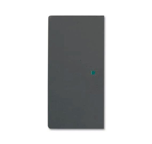 BJ Wippe 2f schwarz matt     6230-20-885   Busch-free@home future linear